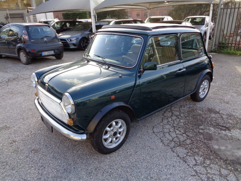 ROVER MINI