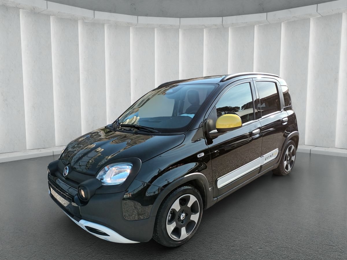 1000 HYBRID 70 CV ITALIA